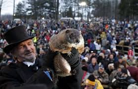 Punxsutawney Phil Groundhog’s forecast